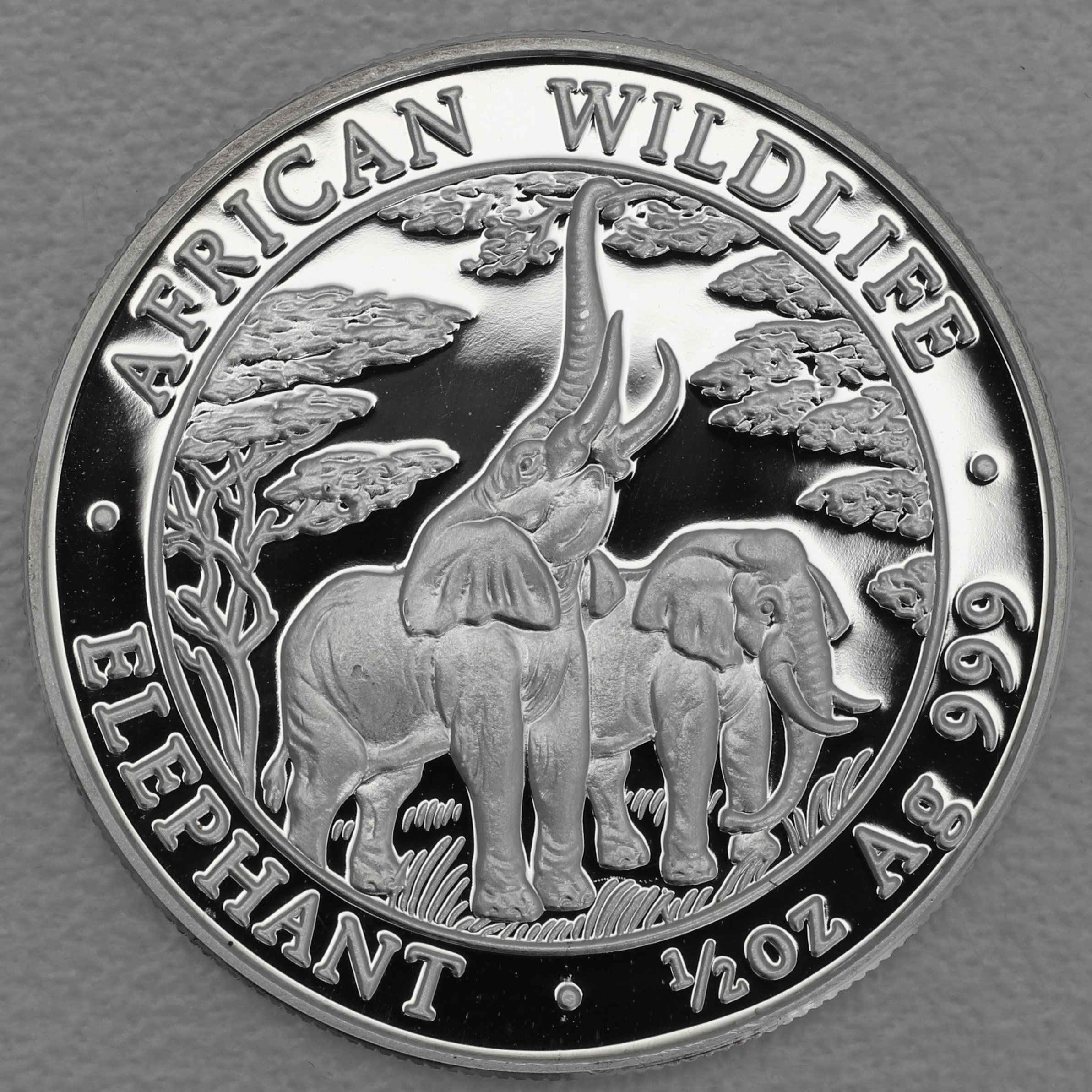 Silbermünze 1/2oz "Zambia Elefant" 2003 (PP) African Wildlife (Sambia) - Hauptansicht