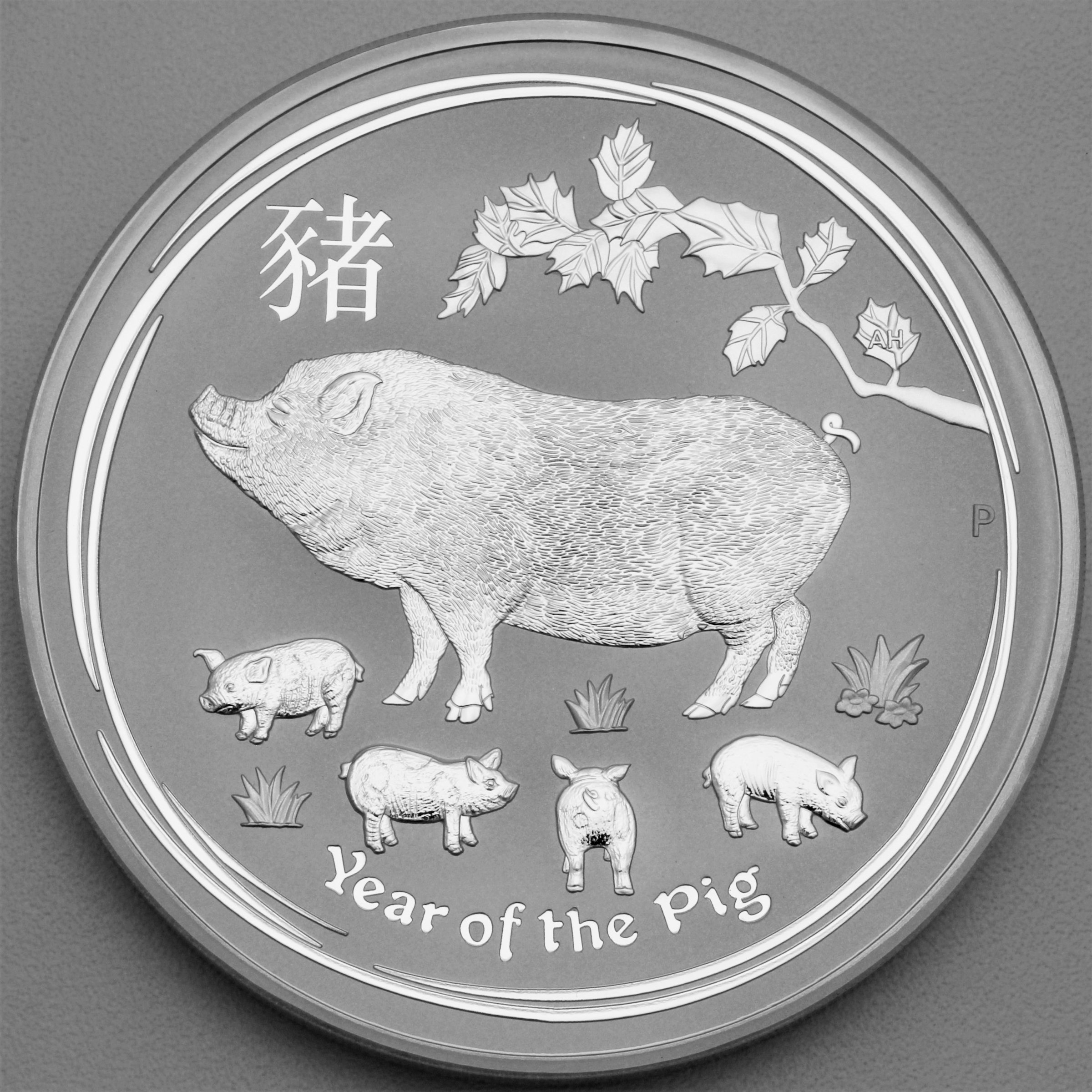 Silbermünze 1kg "Schwein" 2019 Lunar II – Year of the Pig (Australien) - Hauptansicht