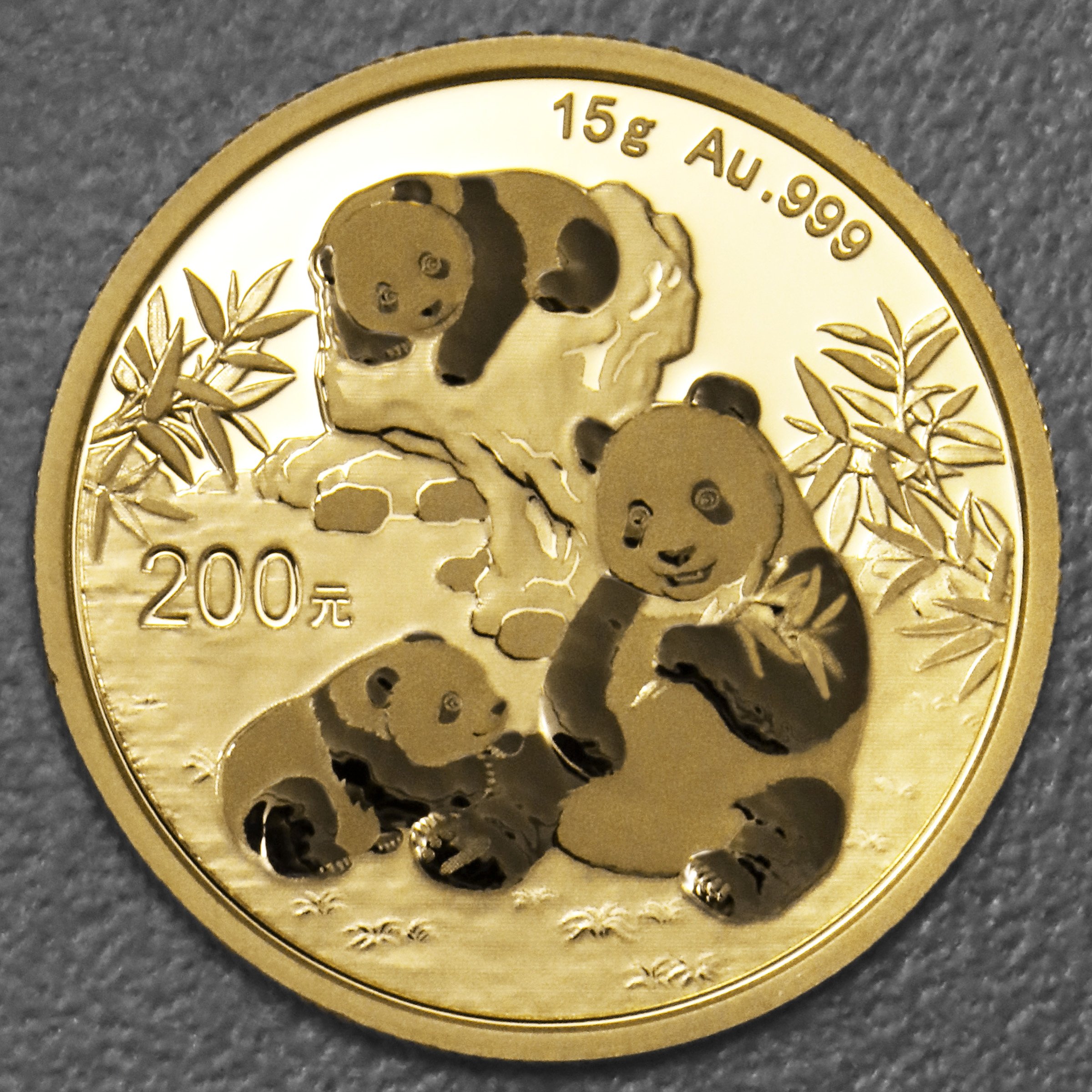 Goldmünze 15g "Panda" 2025 (China) - Hauptansicht