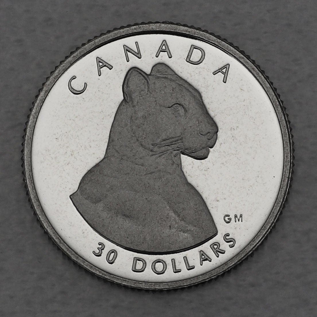Platinmünze 1/10oz "Puma" 1992 Wildlife Canada (Kanada) - Hauptansicht
