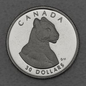 Platinmünze 1/10oz "Puma" 1992 Wildlife Canada (Kanada) - Hauptansicht