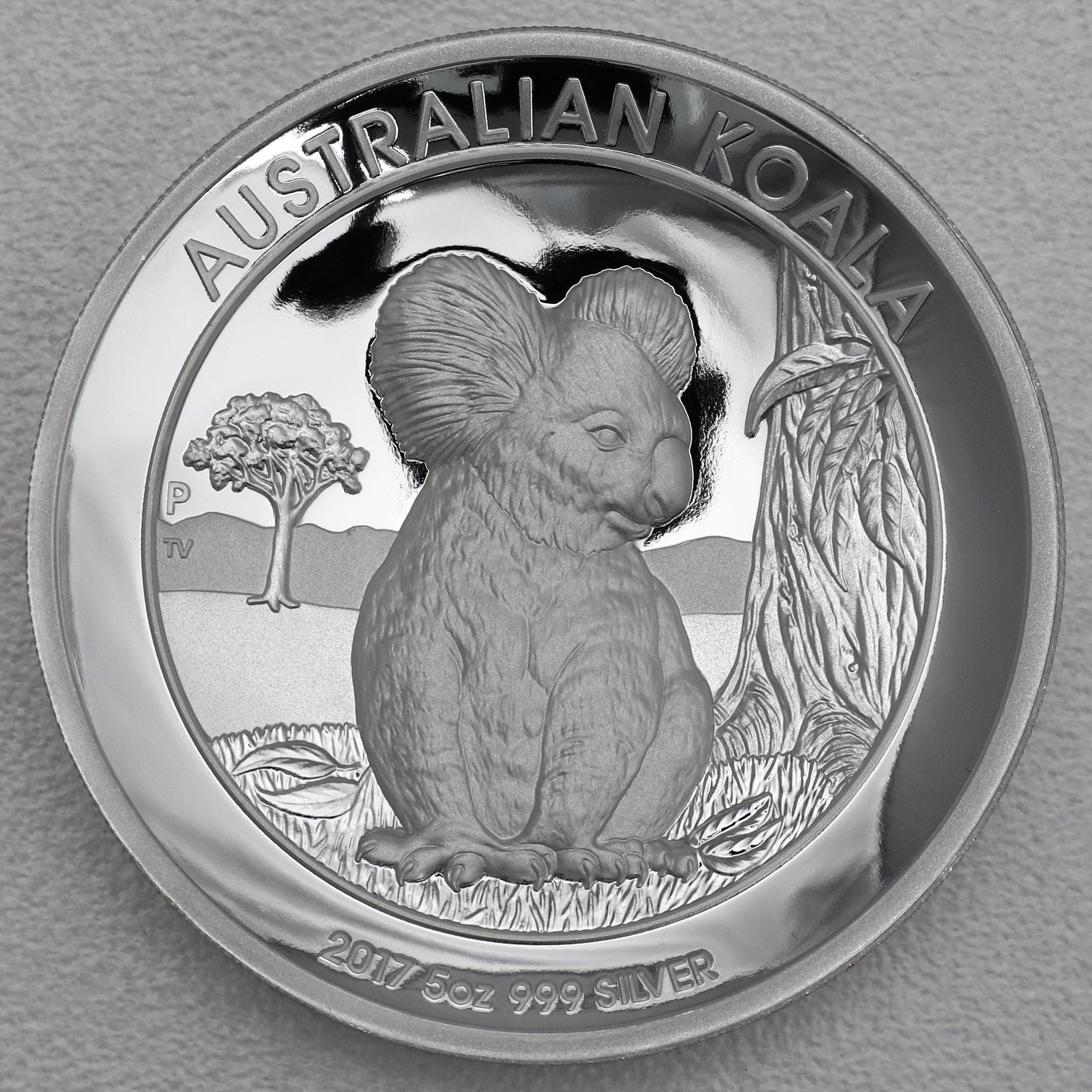 Silbermünze 5oz "Koala" 2017 (PP/HR) (Australien) - Hauptansicht