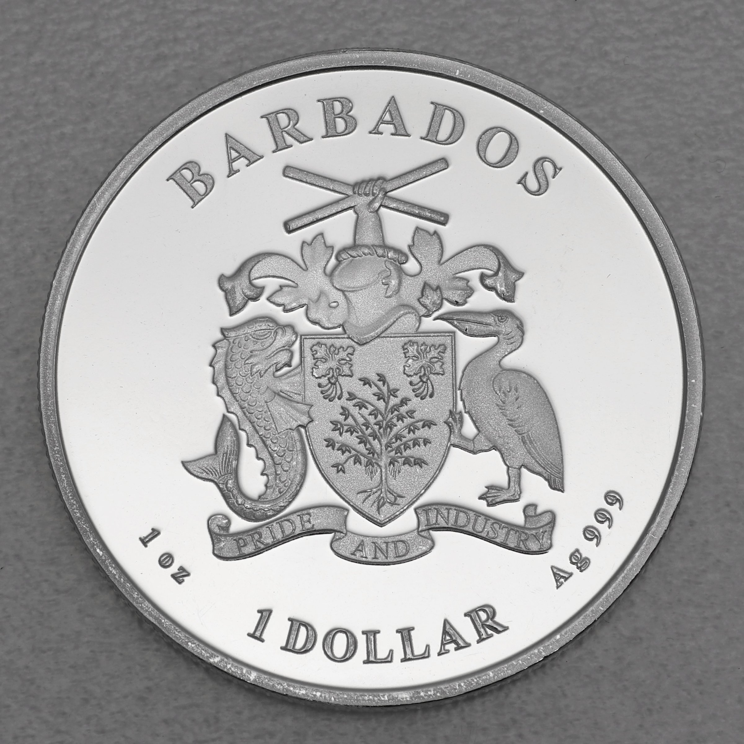Silbermünze 1oz "Seepferdchen" 2022 Caribbean Silver (Barbados) - Detailansicht 1