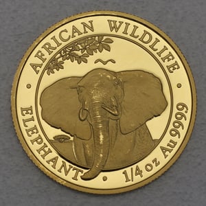 Goldmünze 1/4oz "Elefant" 2021 African Wildlife (Somalia) - Hauptansicht