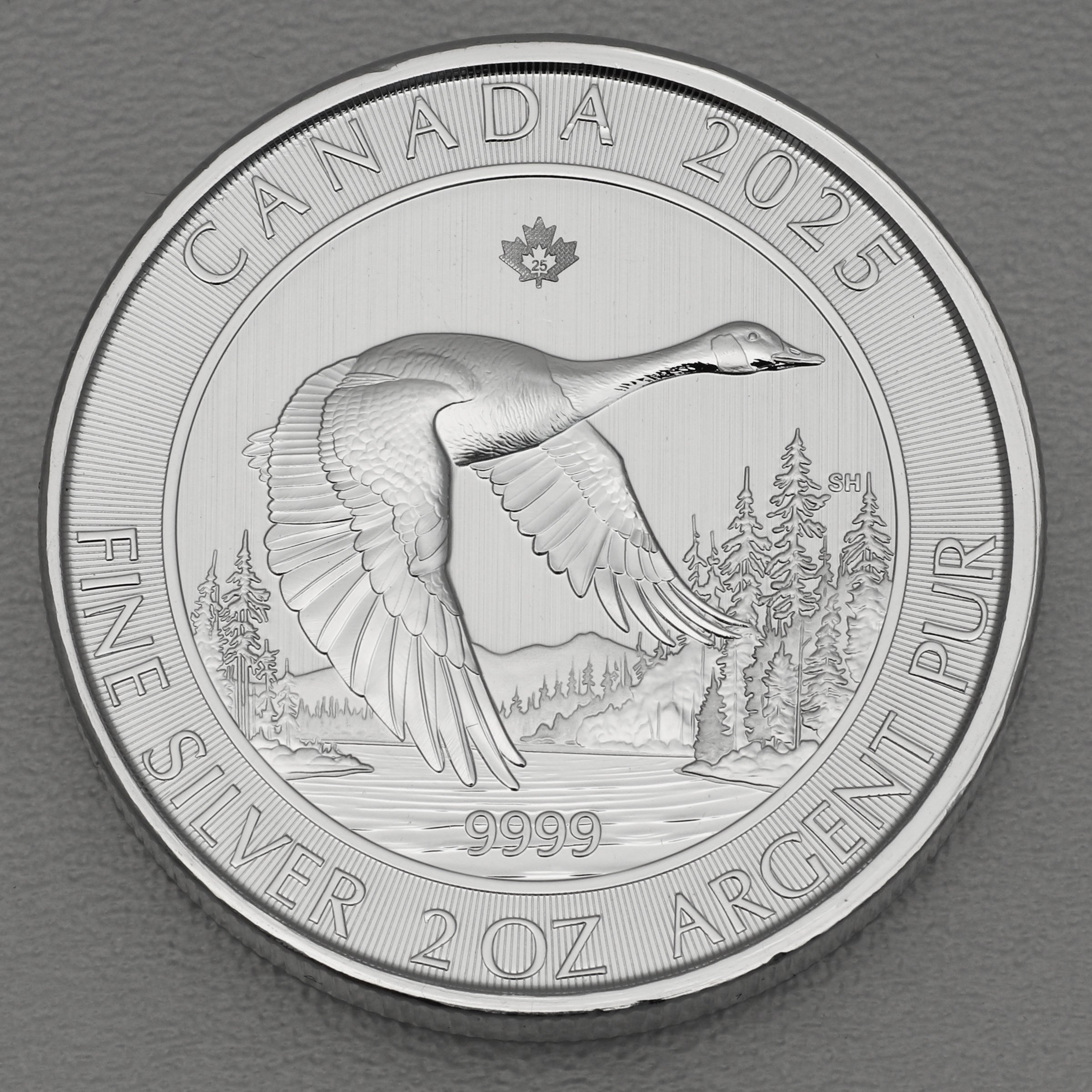 Silbermünze 2oz "Canada Goose" 2025 (Kanada) - Hauptansicht