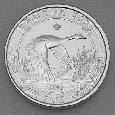 Silbermünze 2oz "Canada Goose" 2025 (Kanada) - Hauptansicht