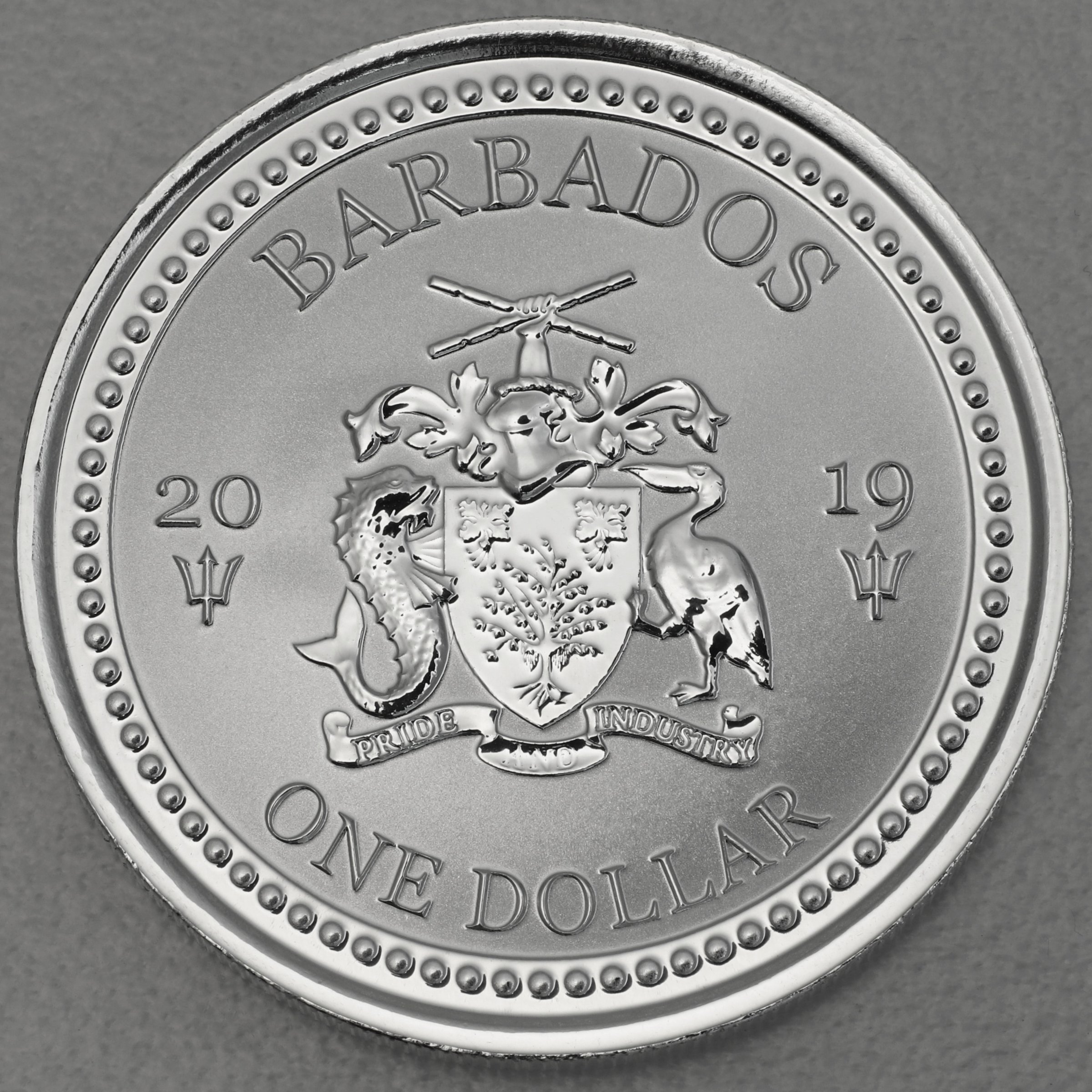 Silbermünze 1oz "Flying Fish" 2019 Barbados Fish (Barbados) - Detailansicht 1