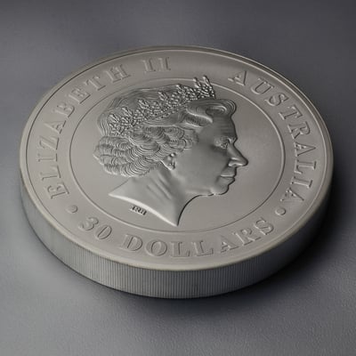 Silbermünze 1kg "Koala" 2016 (Australien) - Miniaturansicht 3