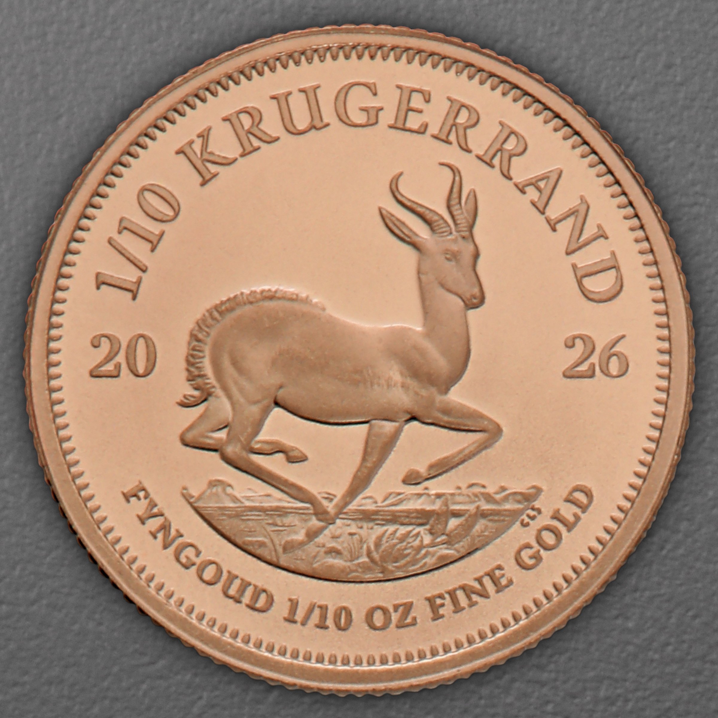Goldmünze 50 x 1/10oz "Krügerrand" aktueller Jahrgang Tube (Südafrika) - Detailansicht 2