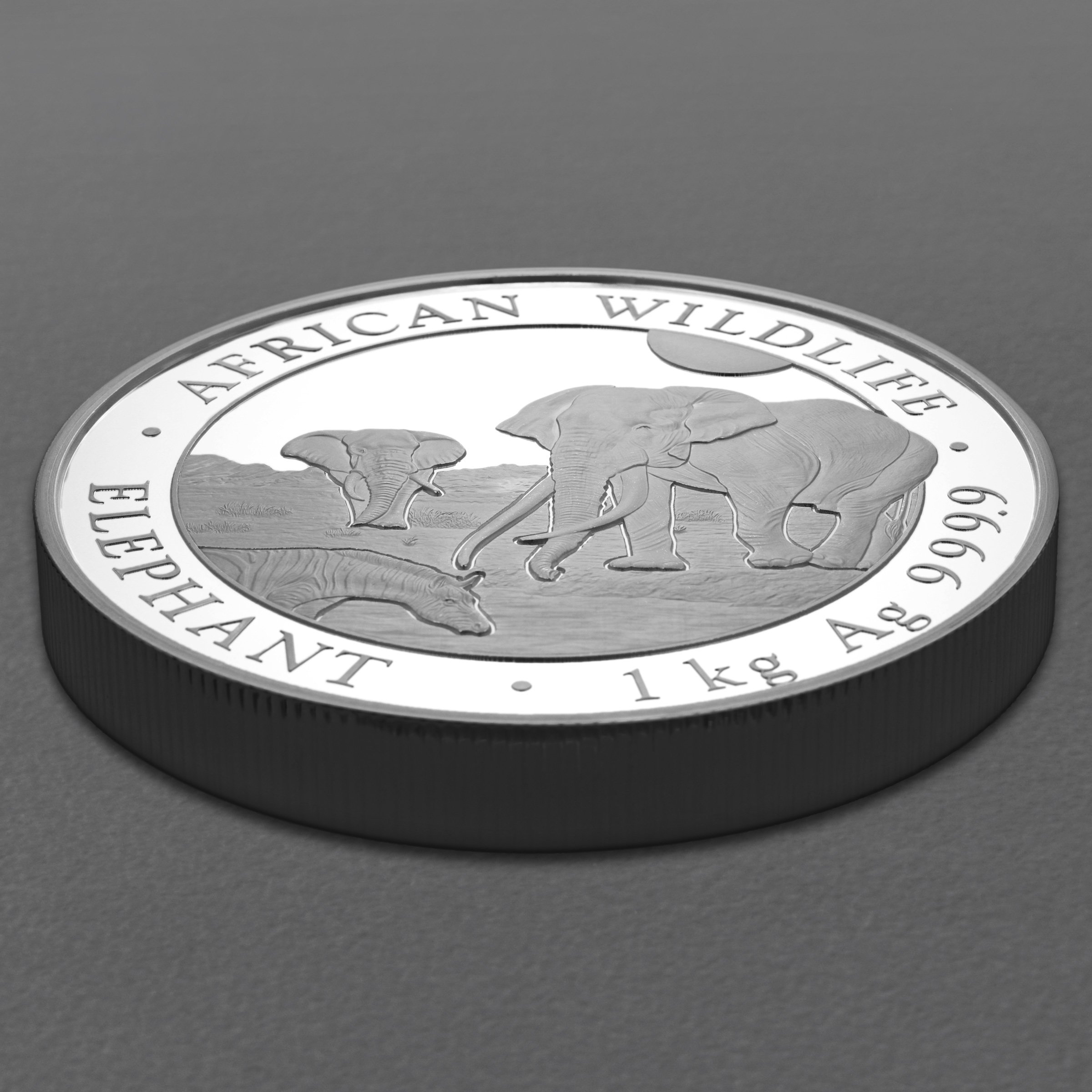 Silbermünze 1kg "Elefant" 2026 African Wildlife 19% (Somalia) - Detailansicht 2