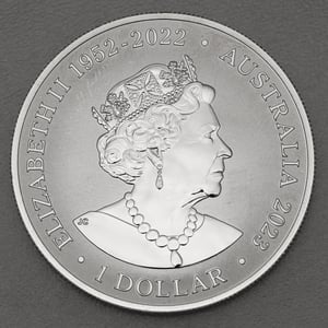 Silbermünze 1oz "Rough-Toothed Dolphin" 2023 (RAM) 19% (Australien) - Miniaturansicht 2
