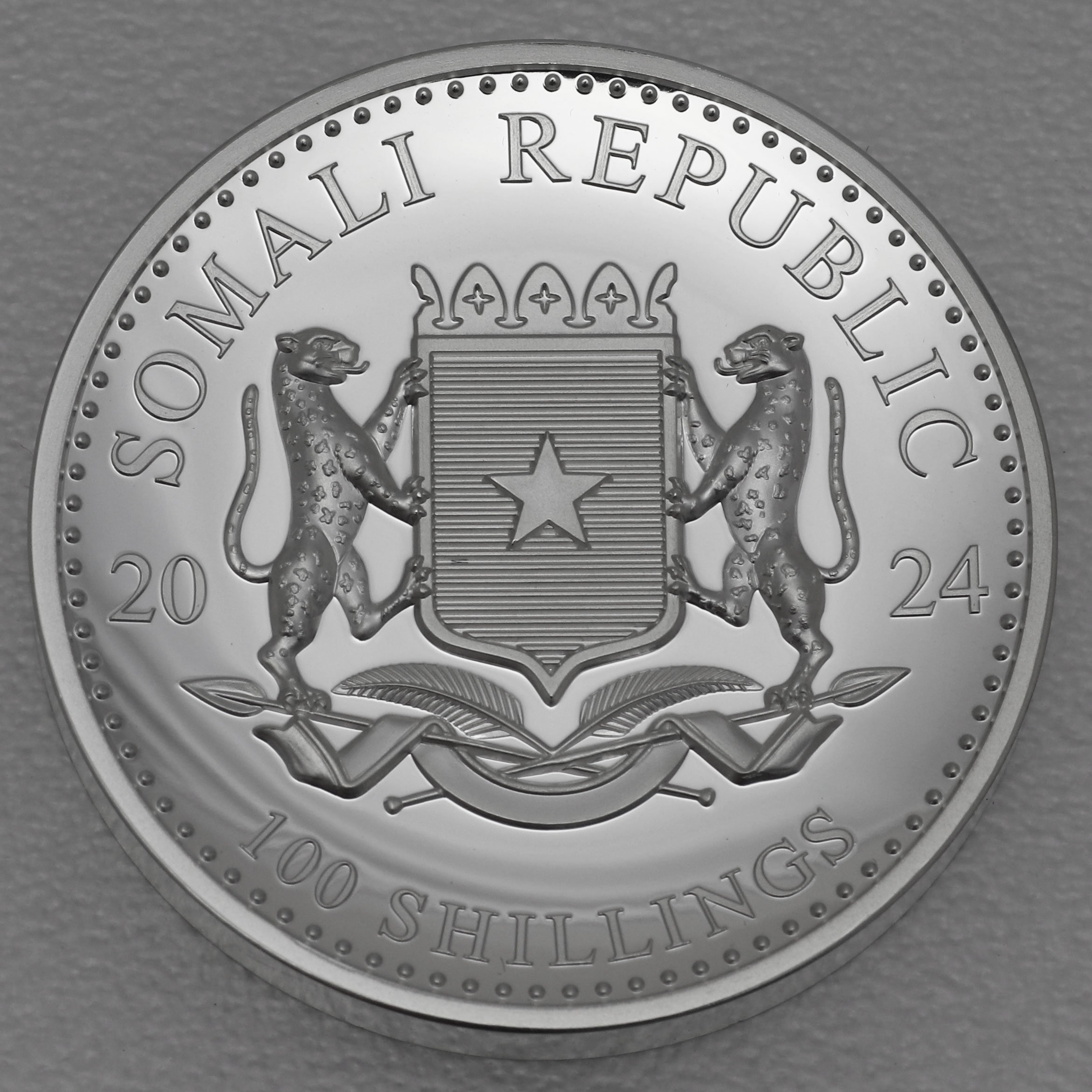 Silbermünze 1oz "Elefant" 2024 (PP/HR/vergoldet) African Wildlife (Somalia) - Detailansicht 1