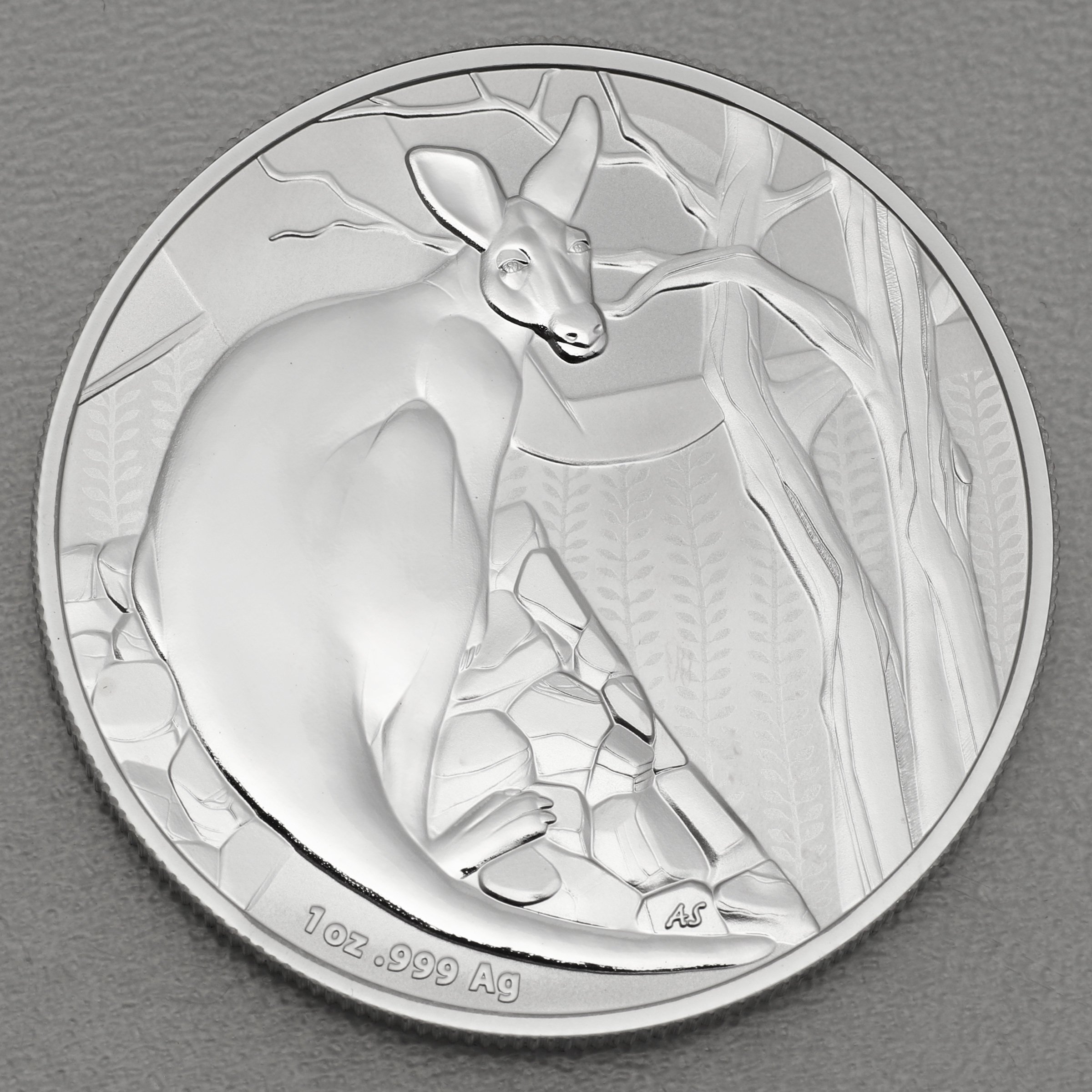 Silbermünze 1oz "Känguru" 2022 Royal Australian Mint (Australien) - Hauptansicht