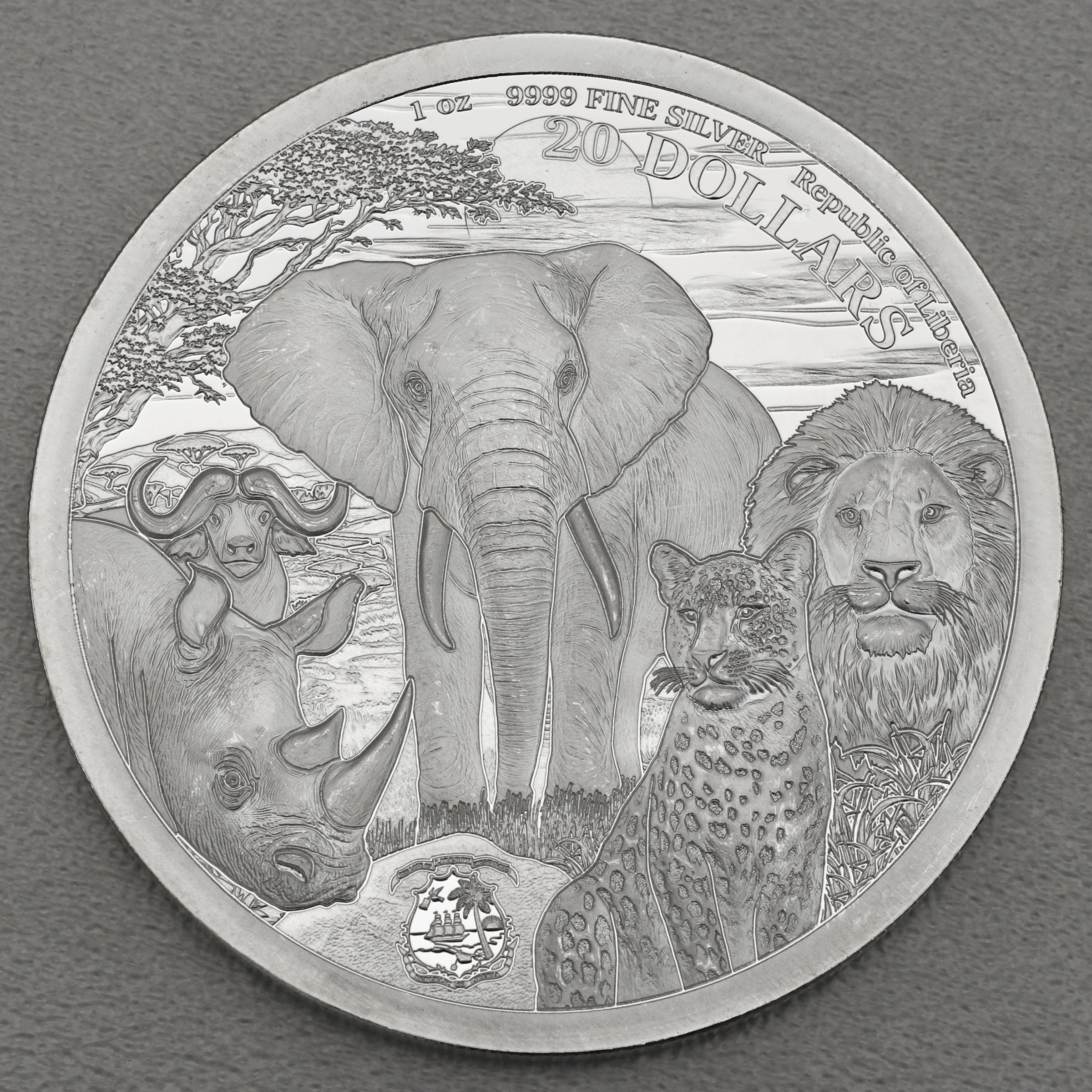 Silbermünze 1oz "Nashorn" 2025 (PP) Big Five (Liberia) - Detailansicht 1
