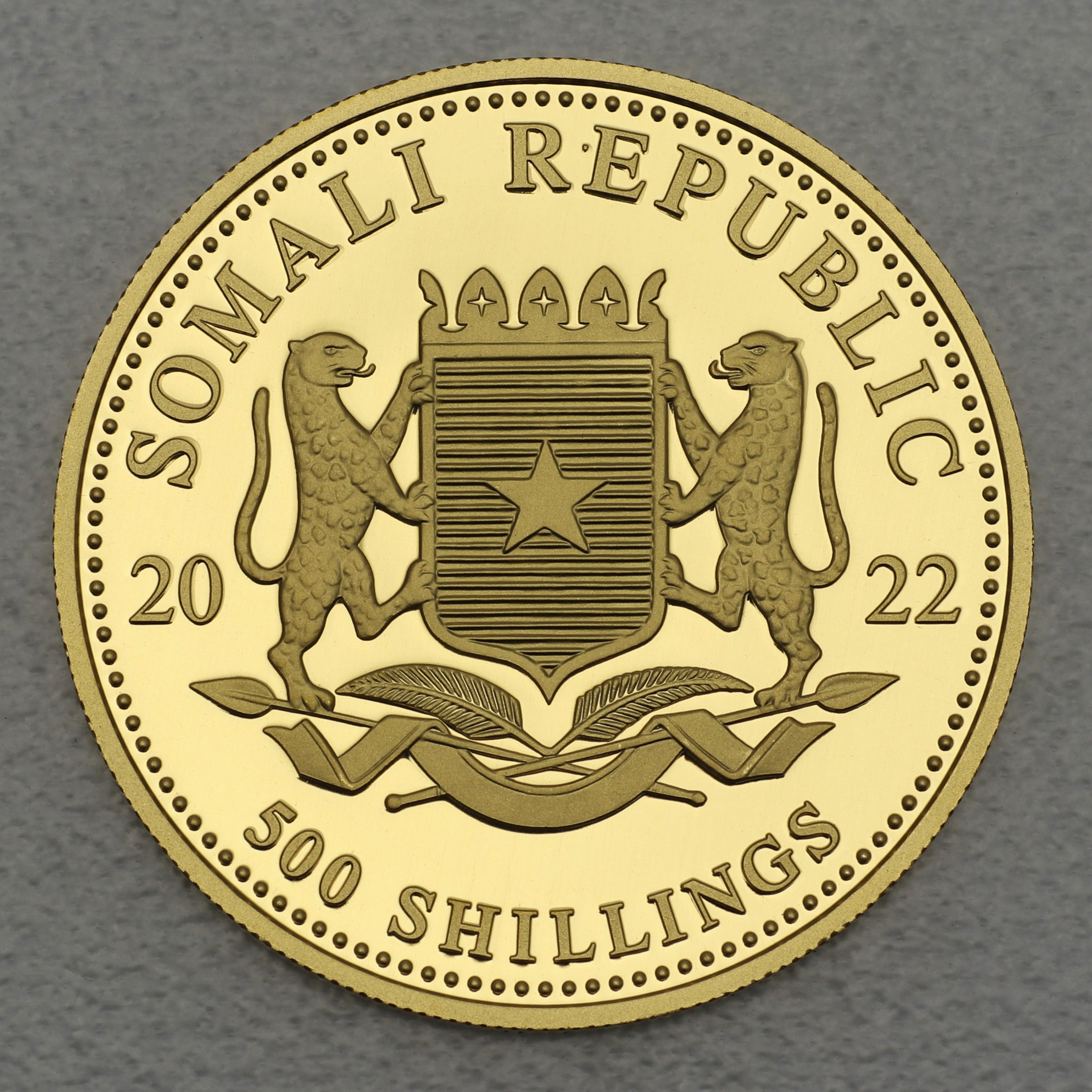 Goldmünze 1/2oz "Elefant" 2022 African Wildlife (Somalia) - Detailansicht 1