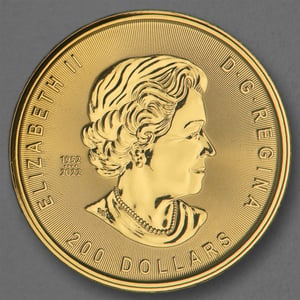 Goldmünze 1oz "Passage for Gold" 2023 Klondike Gold Rush (Kanada) - Miniaturansicht 2