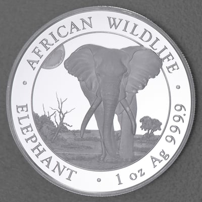 Silbermünze 1oz "Elefant" 2025 African Wildlife diff. (Somalia) - Hauptansicht