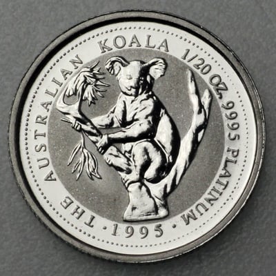Platinmünze 1/20oz "Koala" verschiedene Jahrgänge diff. (Australien) - Hauptansicht