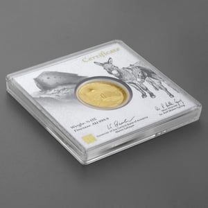 Goldmünze 1/2oz "Arche Noah" 2023 (Armenien) - Miniaturansicht 5