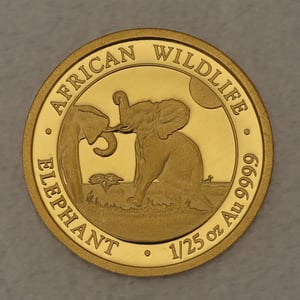 Goldmünze 1/25oz "Elefant" 2024 African Wildlife (Somalia) - Hauptansicht