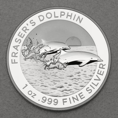 Silbermünze 1oz "Fraser s Dolphin" 2021 (Australien) - Hauptansicht