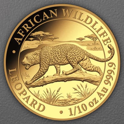 Goldmünze 1/10oz "Leopard" 2026 African Wildlife (Somalia) - Hauptansicht
