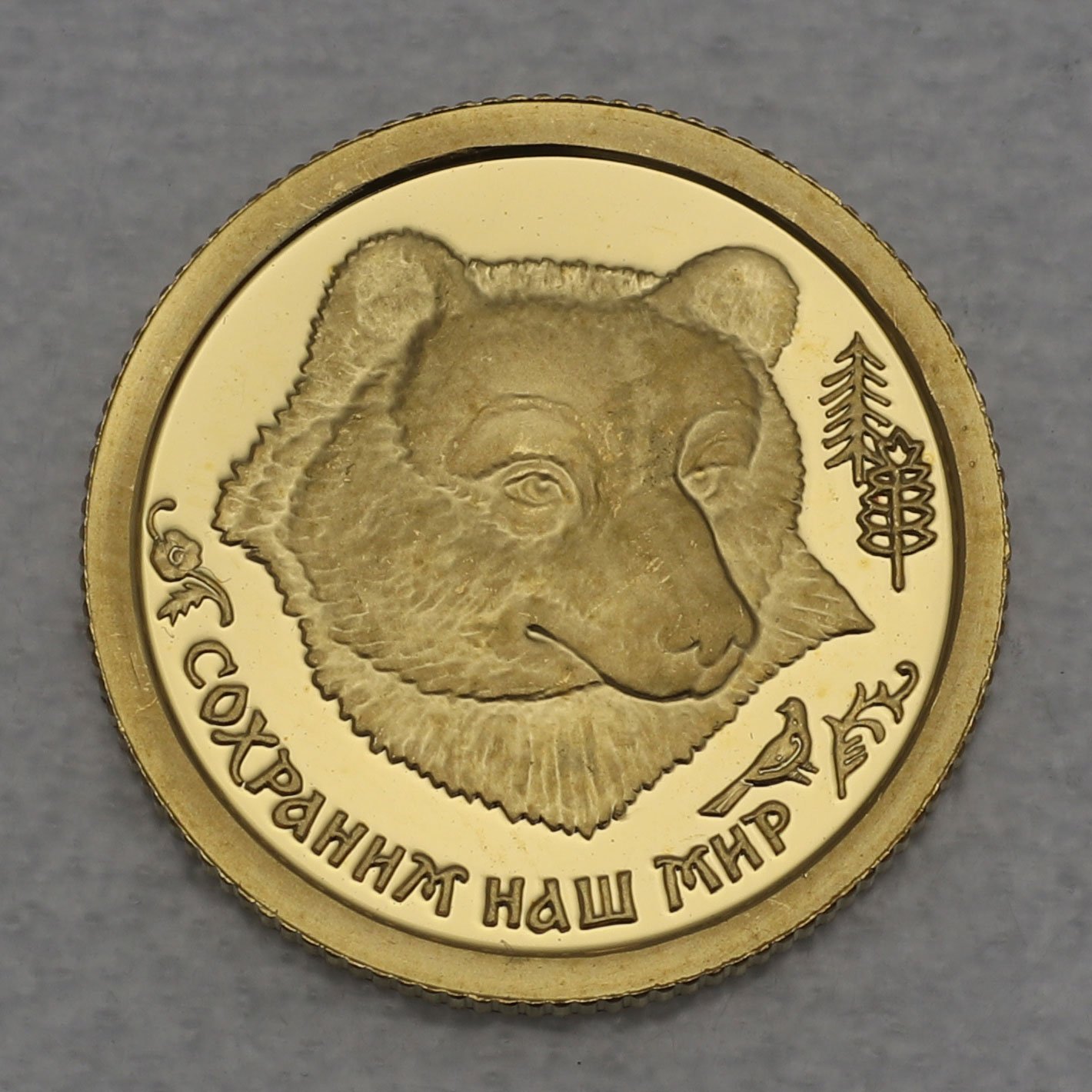Goldmünze 25 Rubel "Bär" 1993 Wildife (Russland) - Hauptansicht