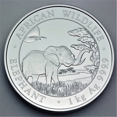 Silbermünze 1kg "Elefant" 2019 African Wildlife (Somalia) - Miniaturansicht 1
