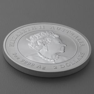 Silbermünze 2oz "Hase" 2023 Lunar III – Year of the Rabbit 19% (Australien) - Miniaturansicht 4