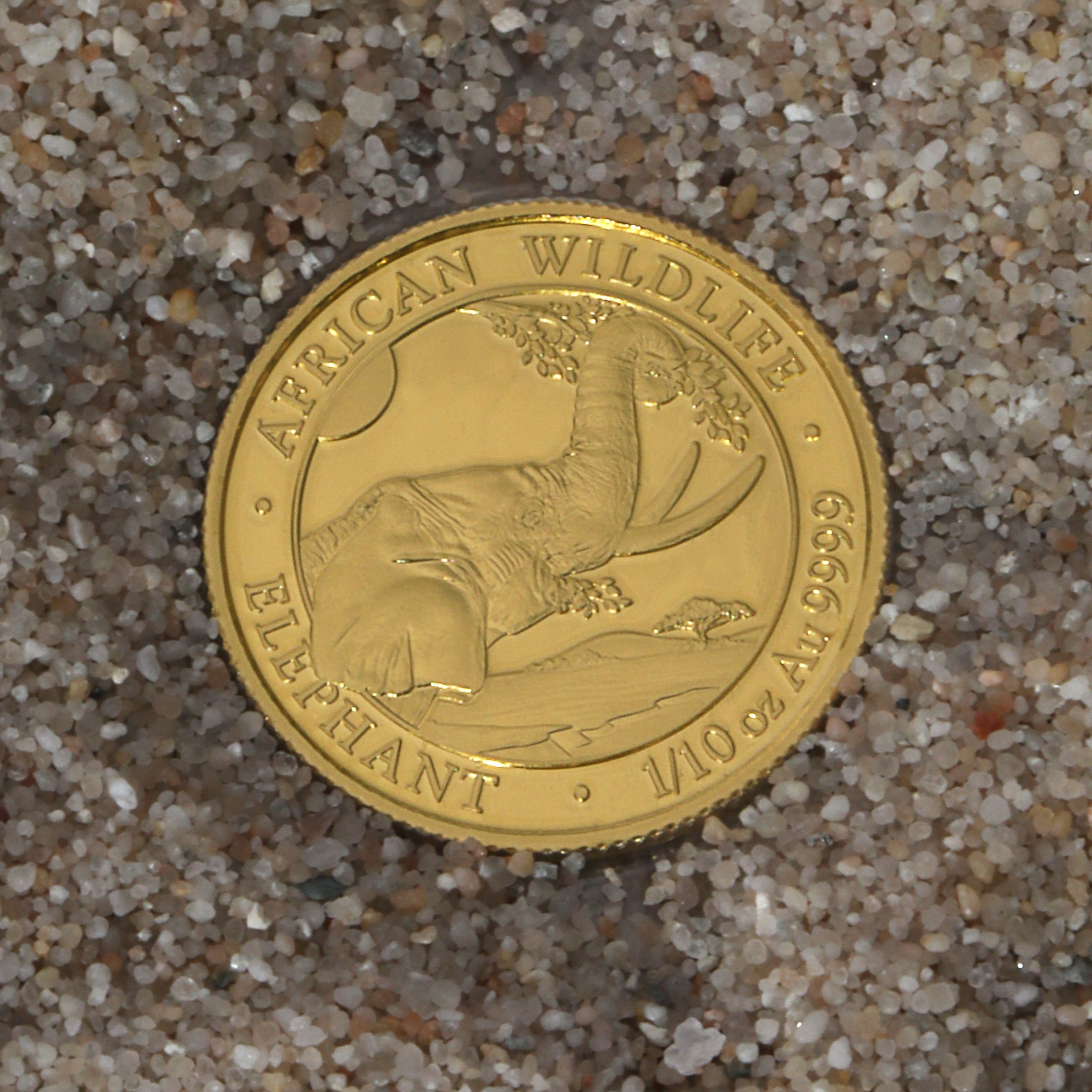 Goldmünze 1/10oz "Elefant" 2023 African Wildlife (Somalia) - Detailansicht 2