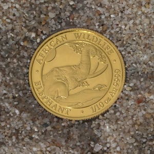 Goldmünze 1/10oz "Elefant" 2023 African Wildlife (Somalia) - Miniaturansicht 3