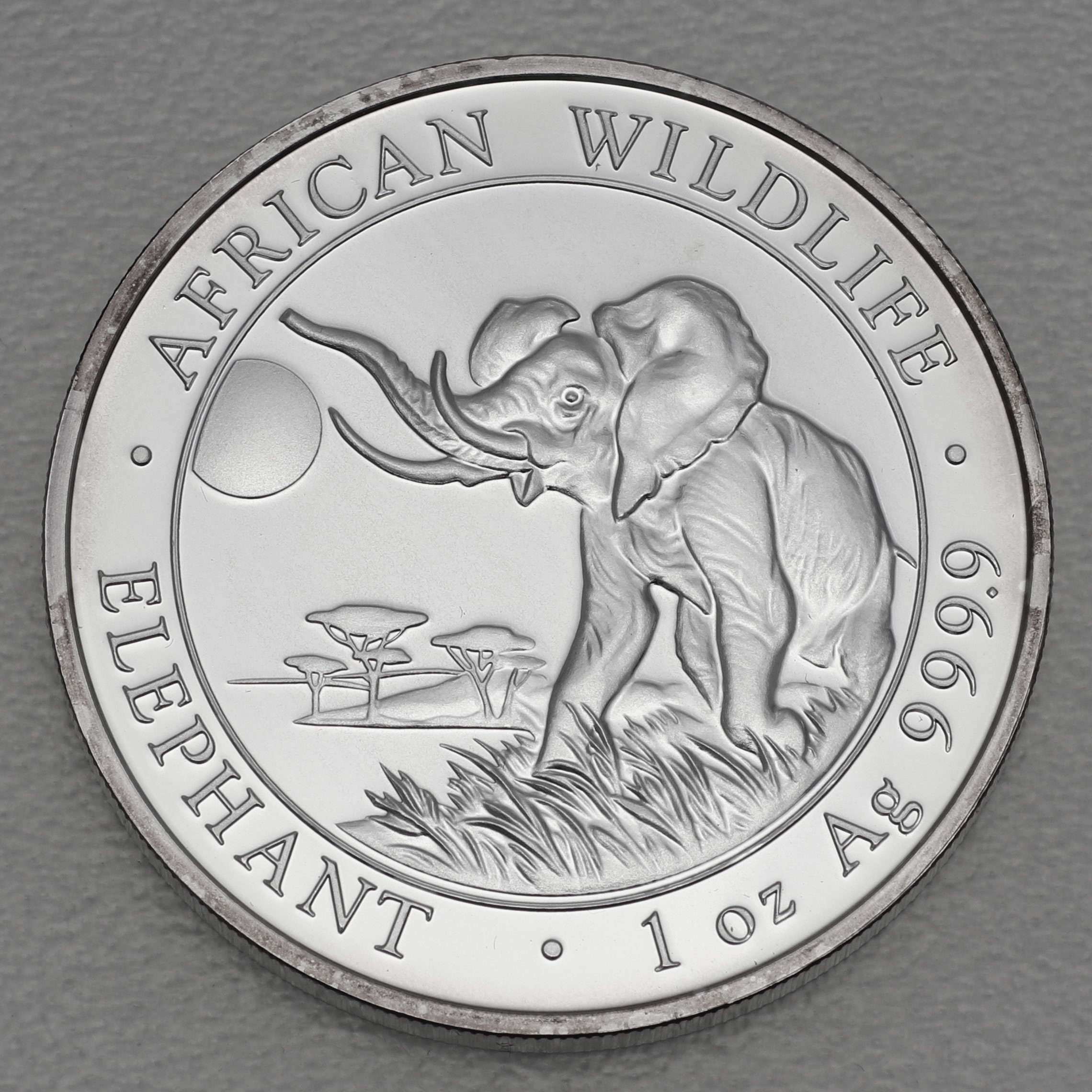 Silbermünze 1oz "Elefant" 2016 African Wildlife diff. (Somalia) - Hauptansicht