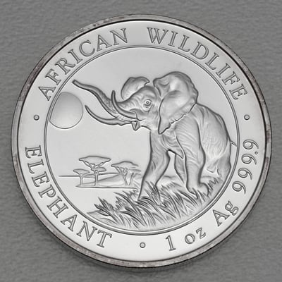 Silbermünze 1oz "Elefant" 2016 African Wildlife diff. (Somalia) - Miniaturansicht 1
