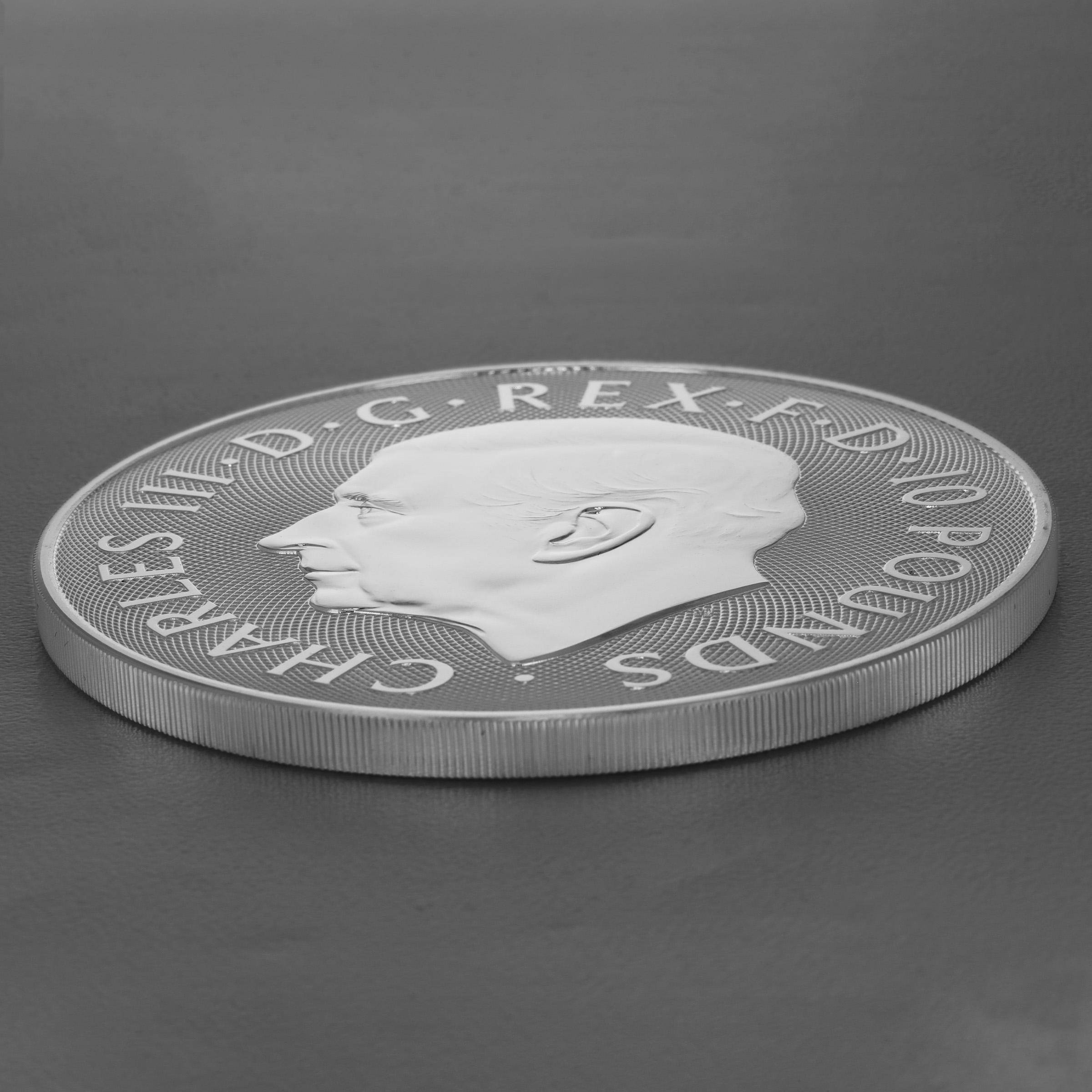 Silbermünze 10oz "Tudor Dragon" 2024 Royal Tudor Beasts (Großbritannien) - Detailansicht 3