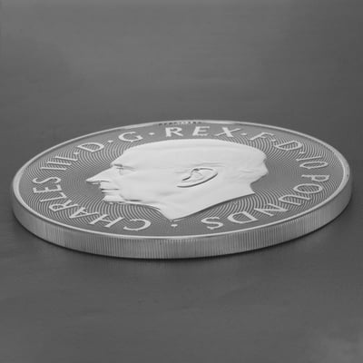 Silbermünze 10oz "Tudor Dragon" 2024 Royal Tudor Beasts (Großbritannien) - Miniaturansicht 4