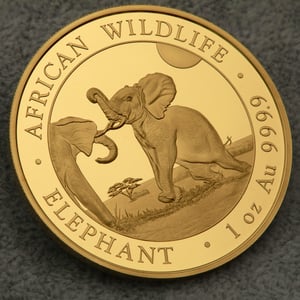 Goldmünze 1oz "Elefant" 2024 African Wildlife (Somalia) - Miniaturansicht 5