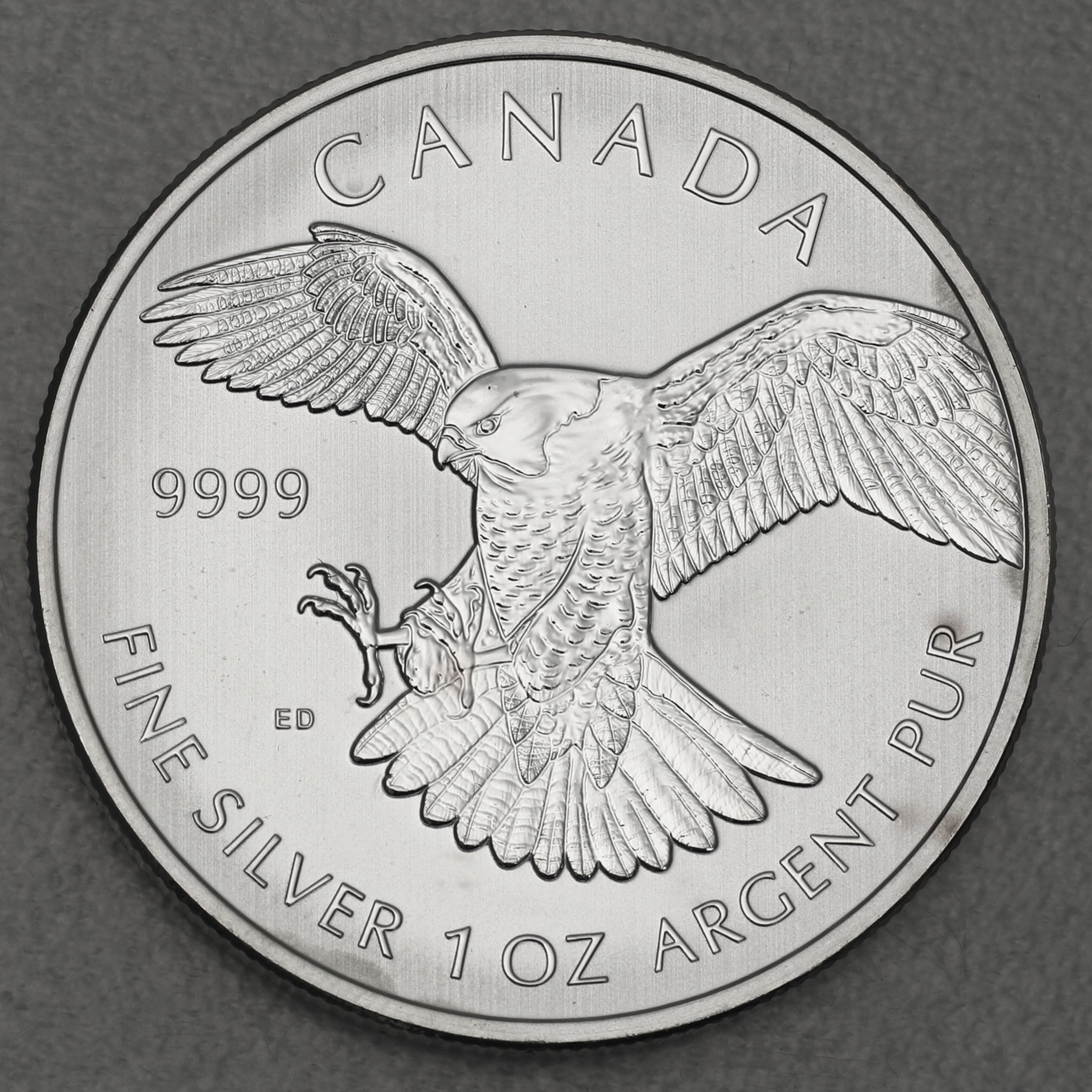 Silbermünze 1oz "Peregrine Falcon" 2014 Birds of Prey (Kanada) - Hauptansicht