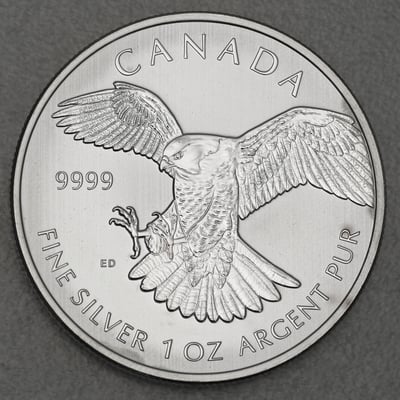 Silbermünze 1oz "Peregrine Falcon" 2014 Birds of Prey (Kanada) - Hauptansicht