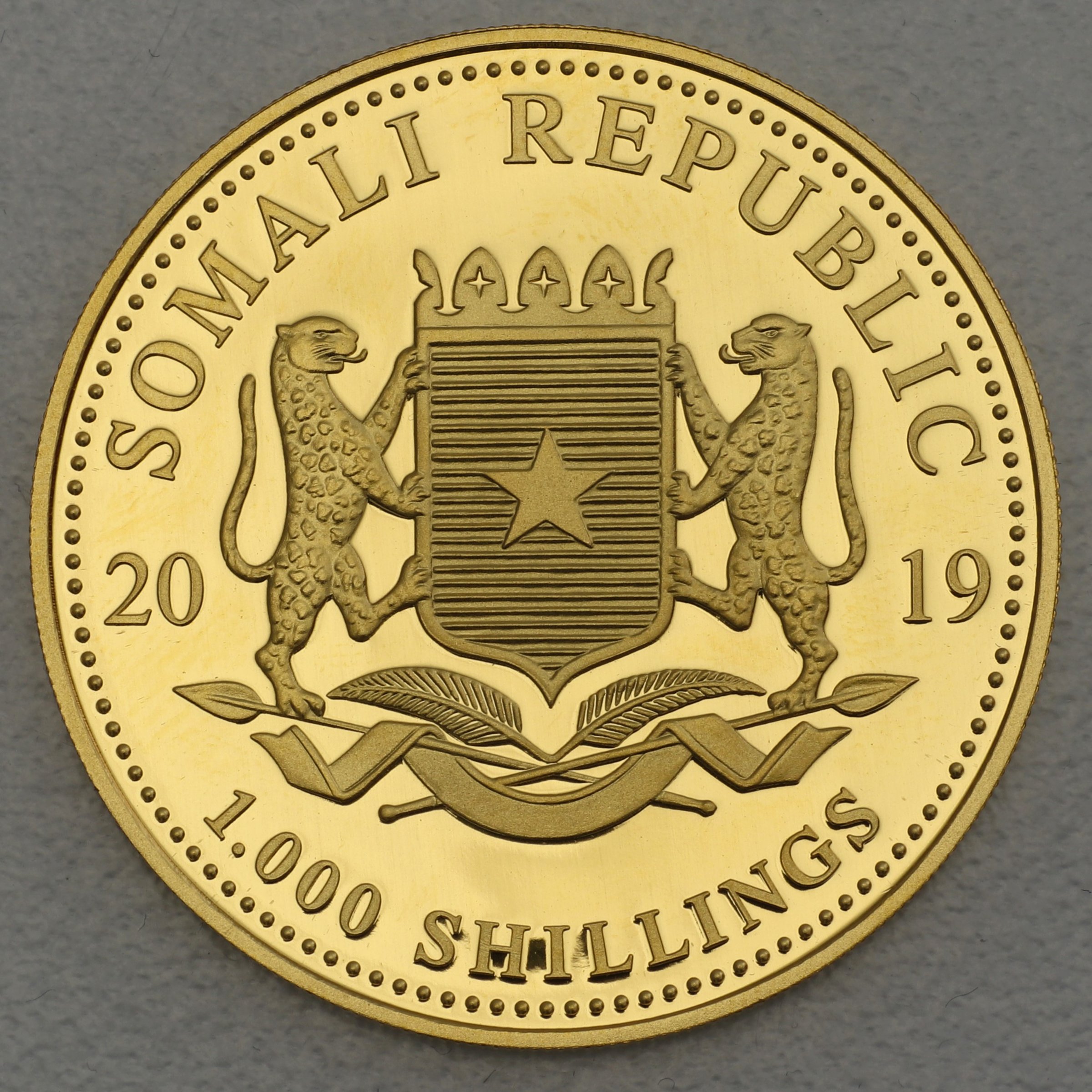 Goldmünze 1oz "Leopard" 2019 African Wildlife (Somalia) - Detailansicht 1