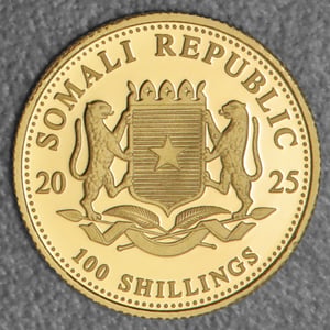 Goldmünze 1/10oz "Elefant" 2025 African Wildlife (Somalia) - Miniaturansicht 2