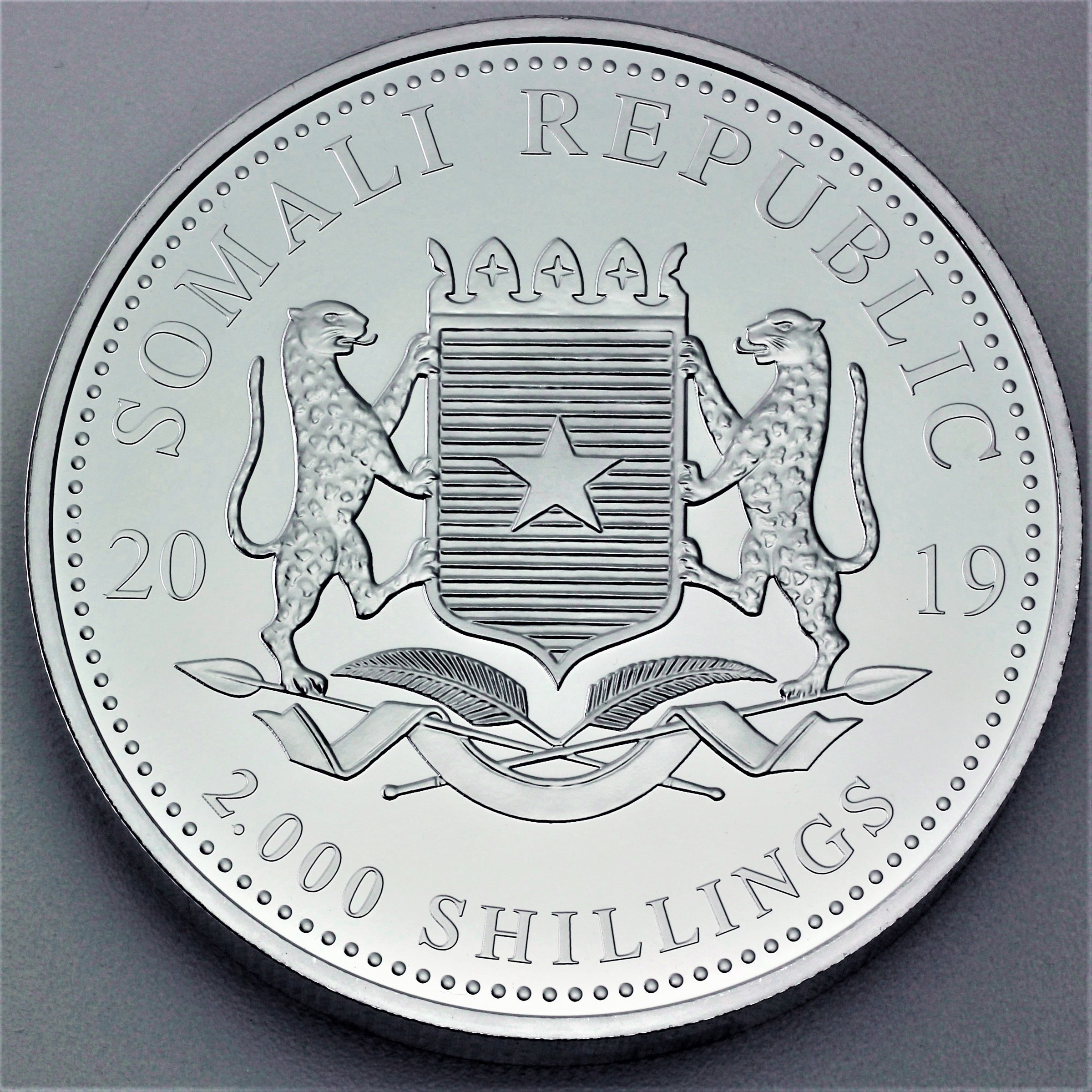 Silbermünze 1kg "Elefant" 2019 African Wildlife (Somalia) - Detailansicht 1