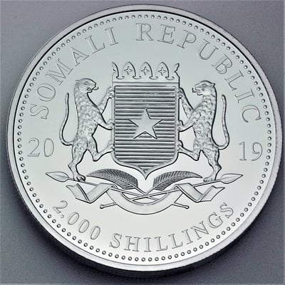 Silbermünze 1kg "Elefant" 2019 African Wildlife (Somalia) - Miniaturansicht 2