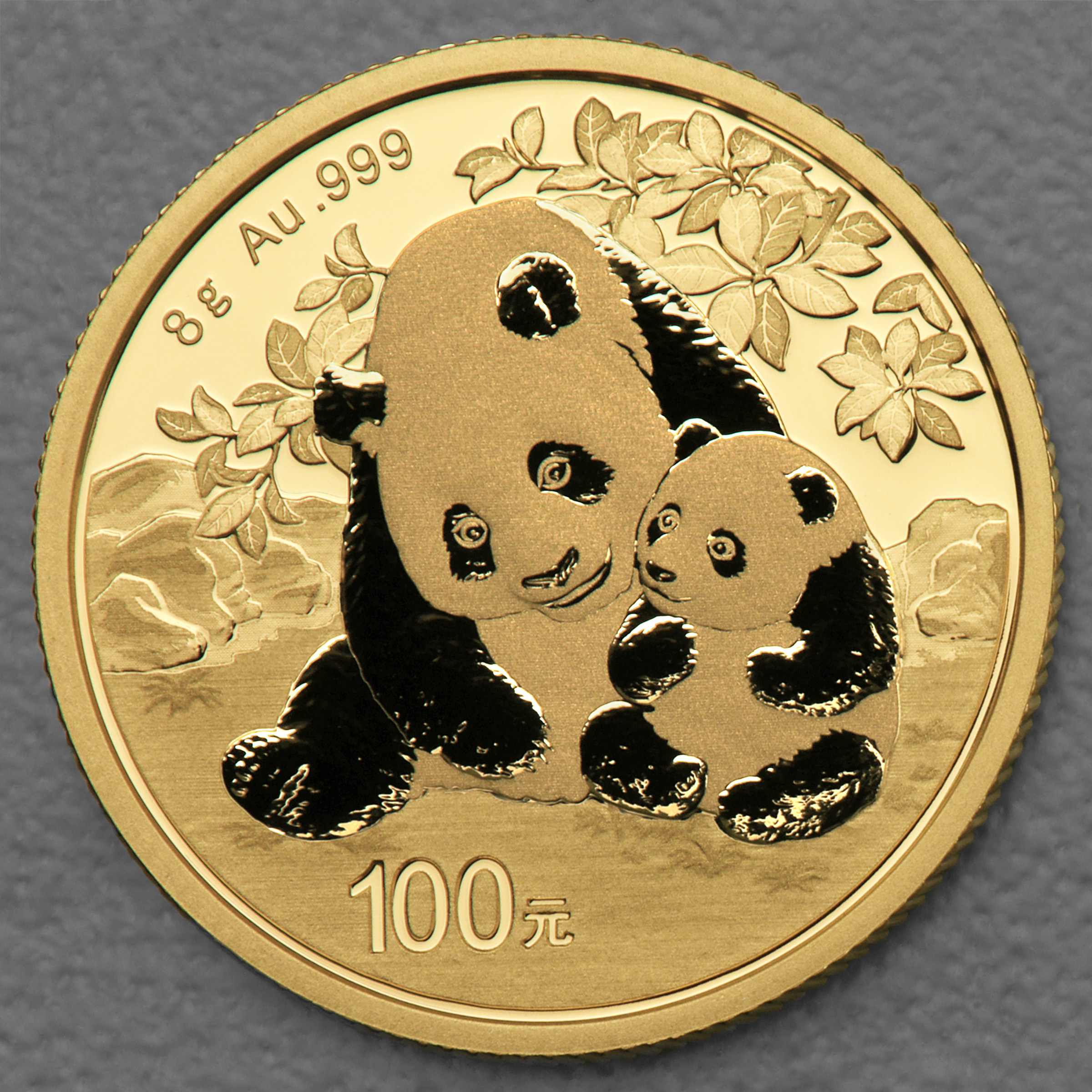 Goldmünze 8g "Panda" 2024 (China) - Hauptansicht