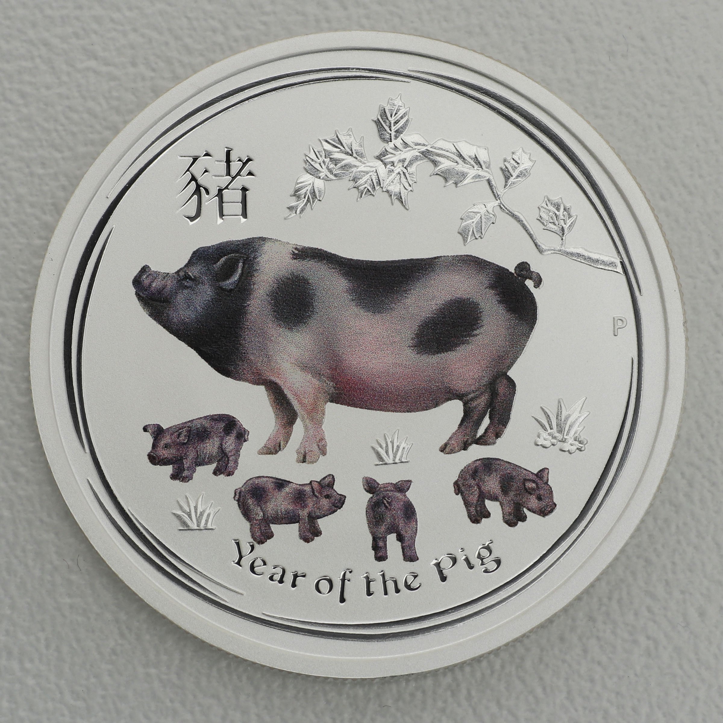 Silbermünze 1/2oz "Schwein" 2019 (koloriert) Lunar II – Year of the Pig (Australien) - Hauptansicht