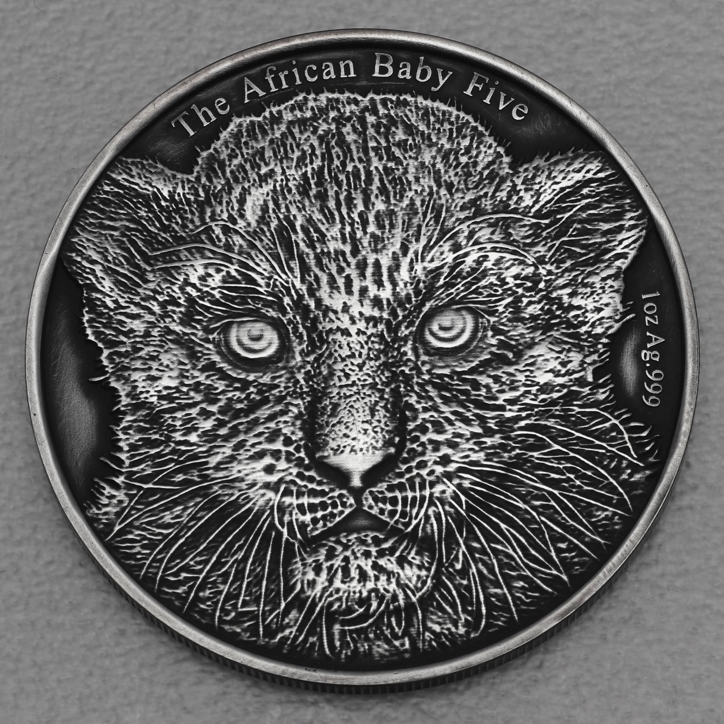 Silbermünze 1oz "Baby Leopard" 2014 AF African Baby Five (Burundi) - Hauptansicht