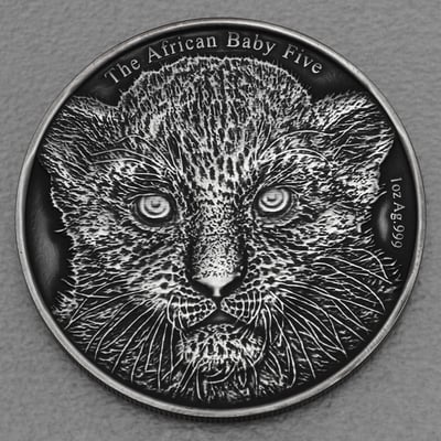 Silbermünze 1oz "Baby Leopard" 2014 AF African Baby Five (Burundi) - Miniaturansicht 1