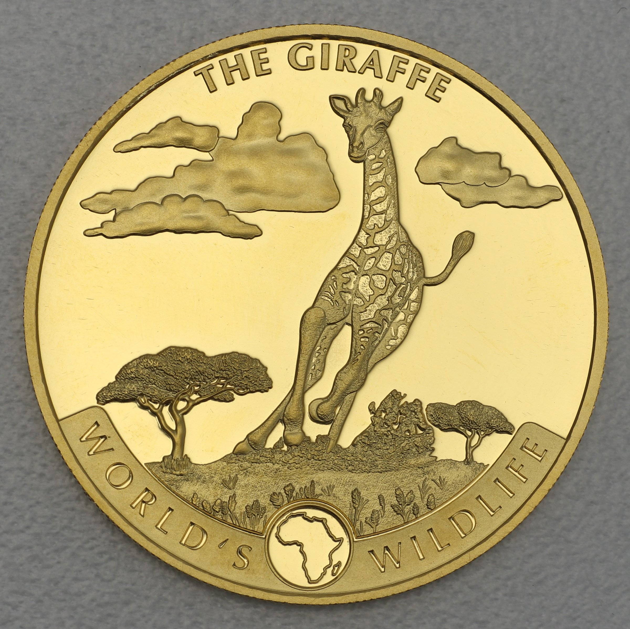 Goldmünze 1oz "Giraffe" 2019 World s Wildlife (Kongo) - Hauptansicht