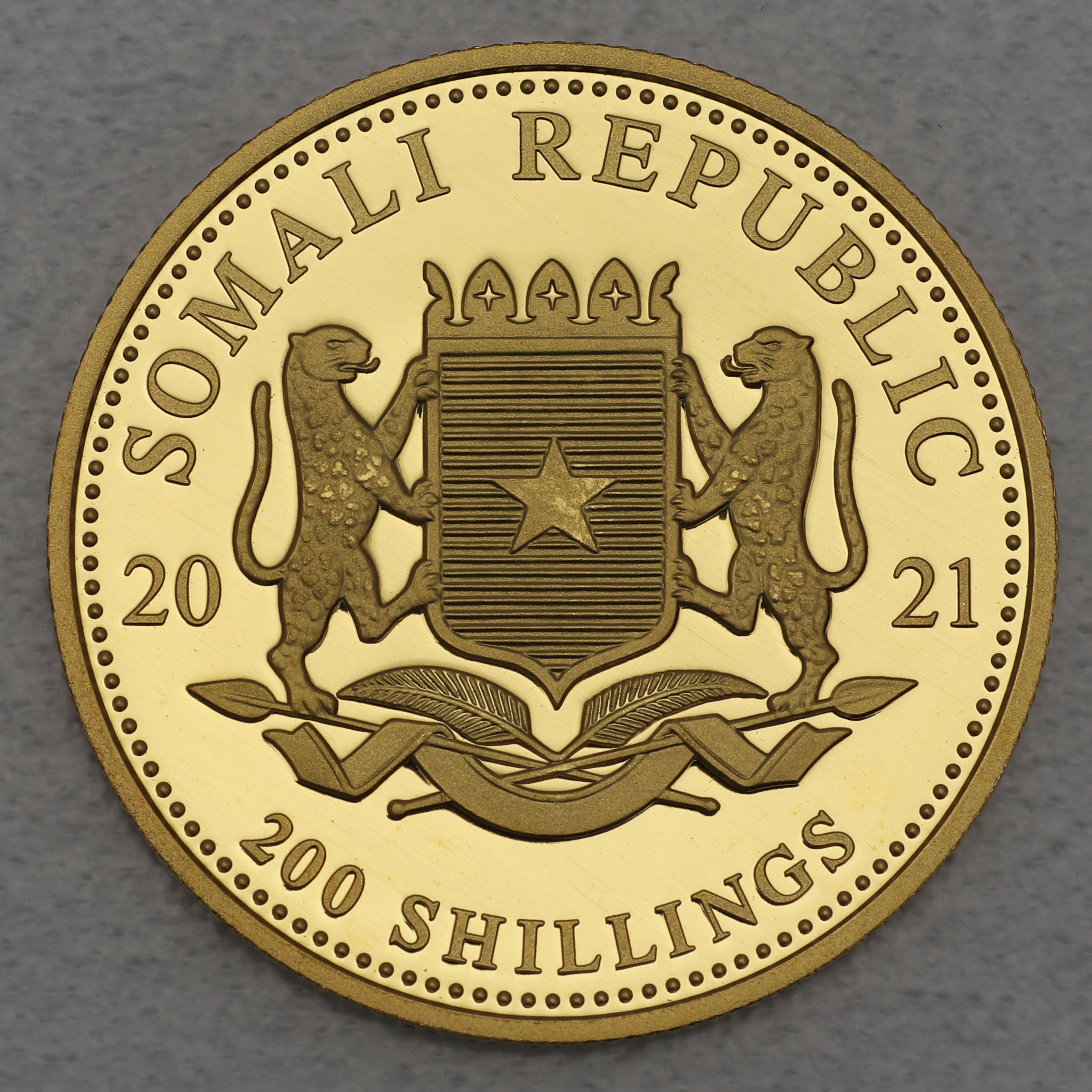 Goldmünze 1/4oz "Elefant" 2021 African Wildlife (Somalia) - Detailansicht 1