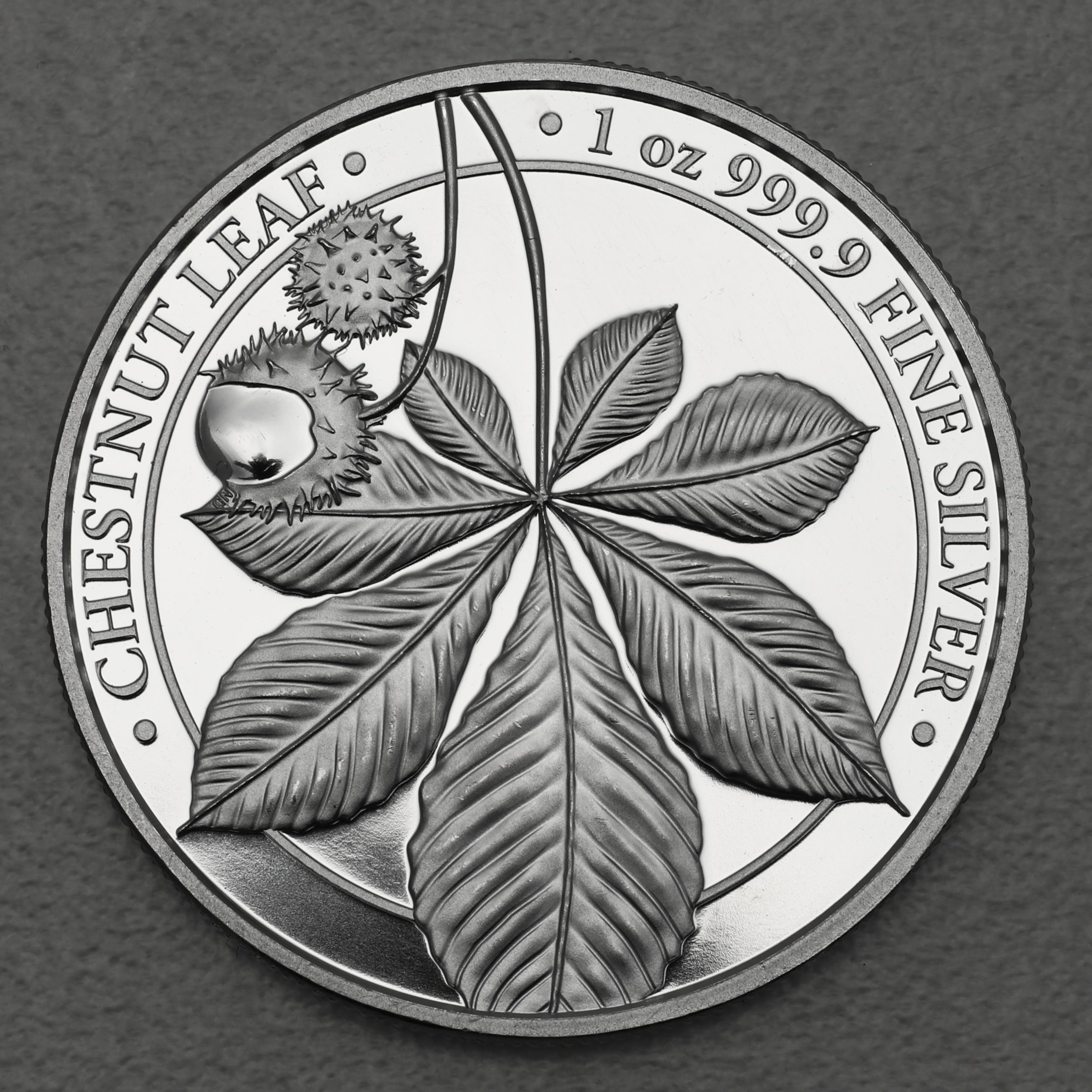 Silbermedaille 1oz "Chestnut Leaf" 2021 PROOF (PP) Mythical Forest (Polen) - Hauptansicht