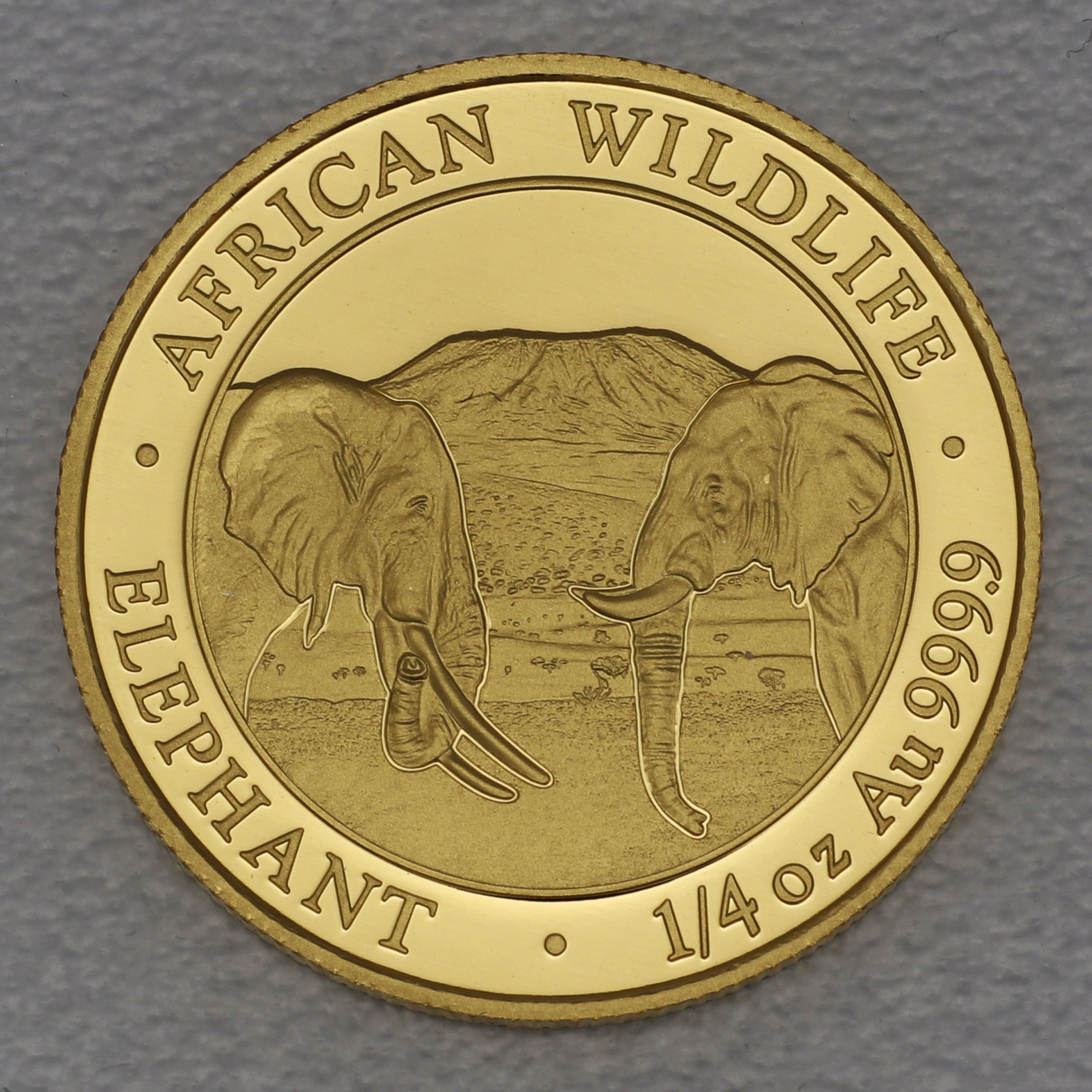 Goldmünze 1/4oz "Elefant" 2020 African Wildlife (Somalia) - Hauptansicht